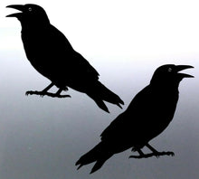 Load image into Gallery viewer, Mirrored pair of Crows Sticker Vinyl cut solid bla