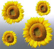 Load image into Gallery viewer, Sunflower Sticker vinyl cut photo Yellow colour de