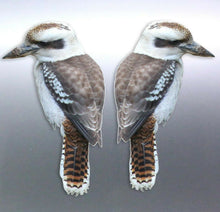 Load image into Gallery viewer, Mirrored pair of Kookaburra Sticker Vinyl cut Aust