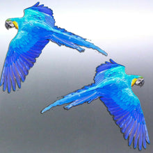 Load image into Gallery viewer, Mirrored Macaw in flight Stickers Vinyl decal of r