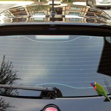 Load image into Gallery viewer, Rainbow lorikeet Sticker Vinyl cut Australia made