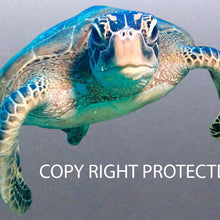 Load image into Gallery viewer, Turtle Sticker Great Barrier Reef Dude Full High Q