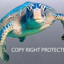 Load image into Gallery viewer, Turtle Sticker Great Barrier Reef Dude Full High Q