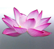 Load image into Gallery viewer, Lotus Sticker vinyl cut white pink colour blossom