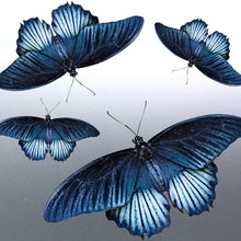 Load image into Gallery viewer, Butterfly decal vinyl cut car Sticker bug tribal A