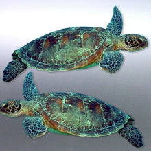Load image into Gallery viewer, Mirrored pair of Turtle Sticker Great barrier Reef