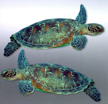 Load image into Gallery viewer, Mirrored pair of Turtle Sticker Great barrier Reef