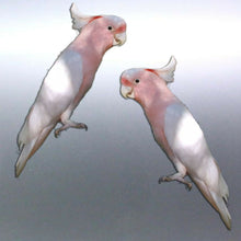 Load image into Gallery viewer, Mirrored pair pink cockatoo decal Sticker Vinyl cu