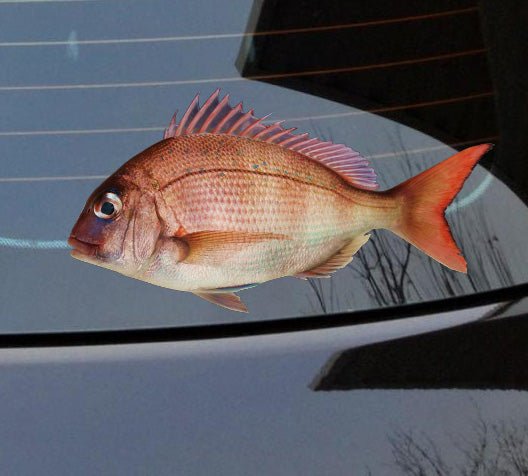 Fishing Stickers – Aussie Made for Every Angler