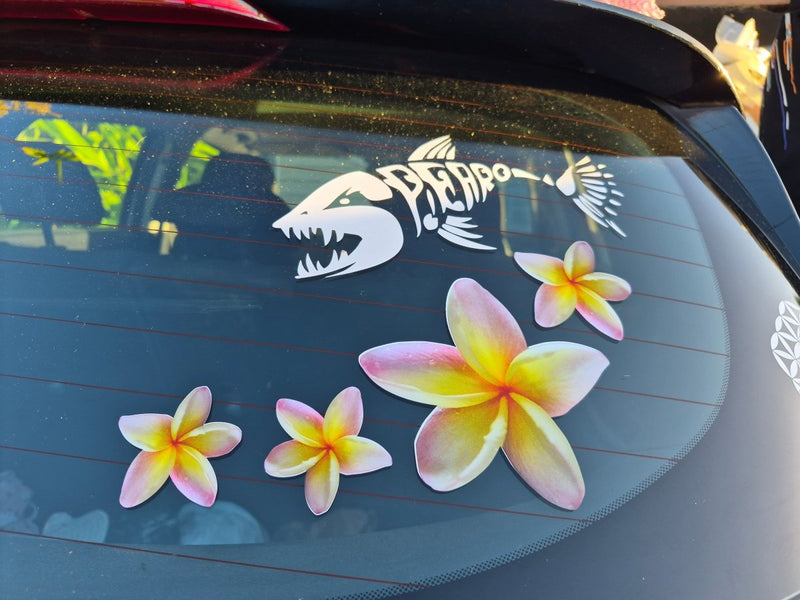 yellow frangipani flower decals on a car window