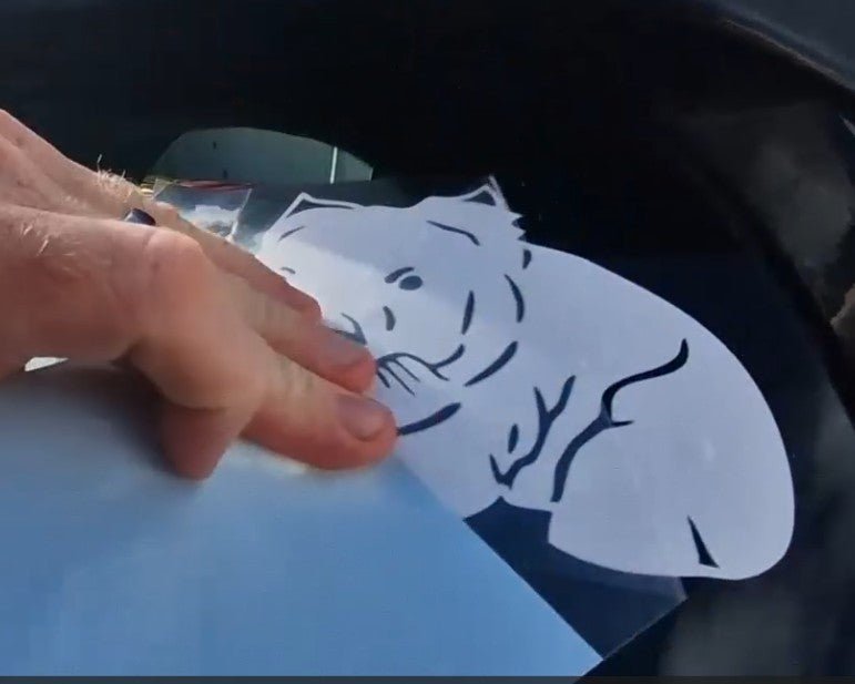 Hand holding a white tiger cutout on a blue surface
