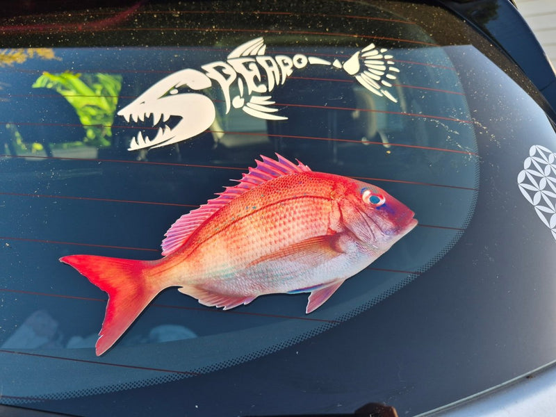 Fish-shaped decal on a car window with other decals in the background