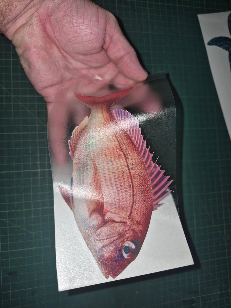 Hand holding a red fish over a printed image of a fish on a cutting mat.