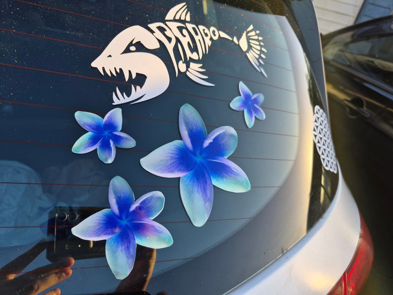 Car window with shark decal and blue Frangipani flower stickers