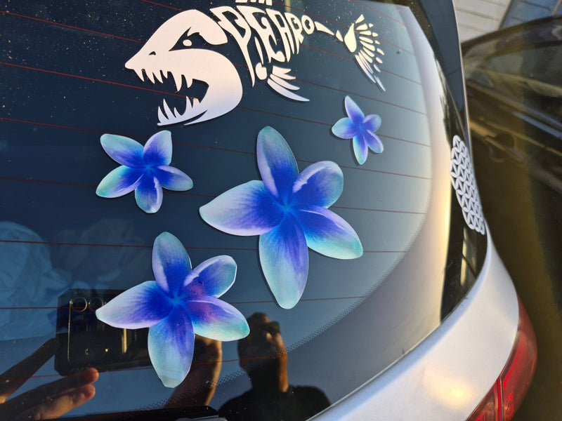 Frangipani Car window with blue flower decals and a shark graphic