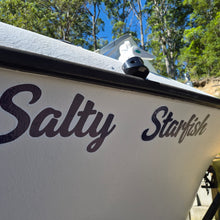 Load image into Gallery viewer, custom Boat name decal;  'Salty Starfish' with trees and clear sky in the background, made in australia
