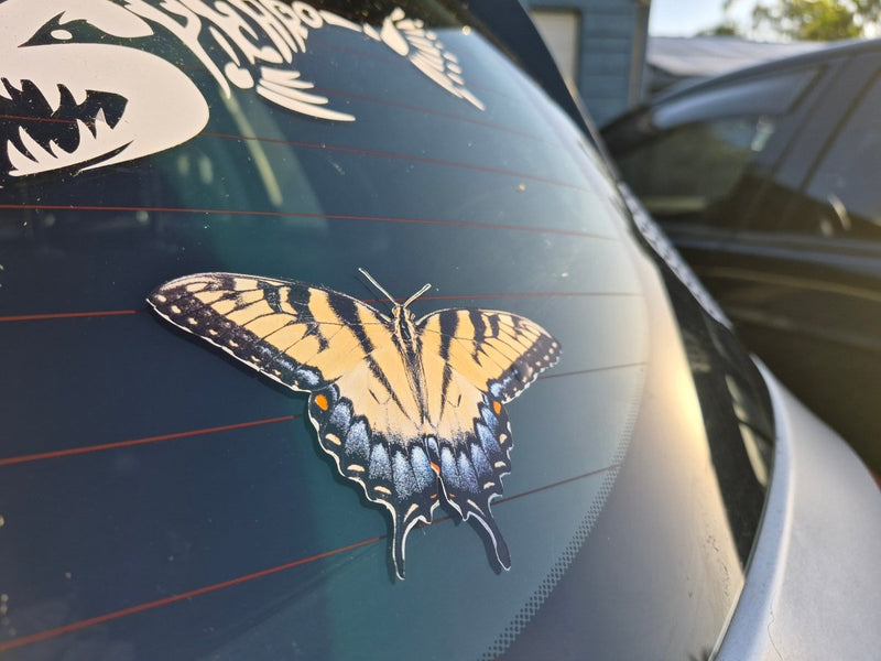 Butterfly decal on a car window with a blurred background