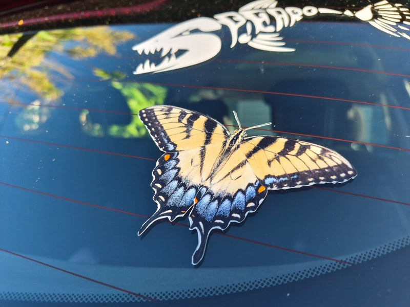 Butterfly on a car windshield with a dragon design in the background