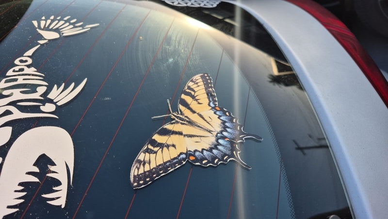 Butterfly decal on a car window with a dark background