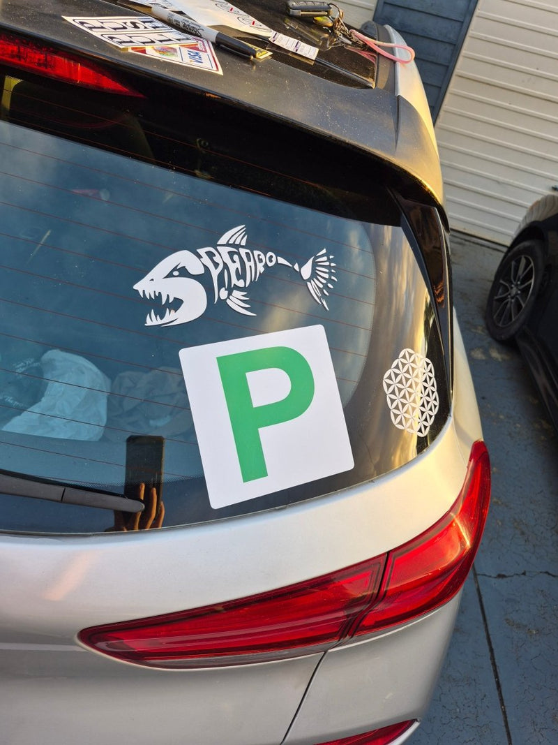 Car with a 'P' Provisional plate Sticker on the back window, indicating it is a learner driver's vehicle.