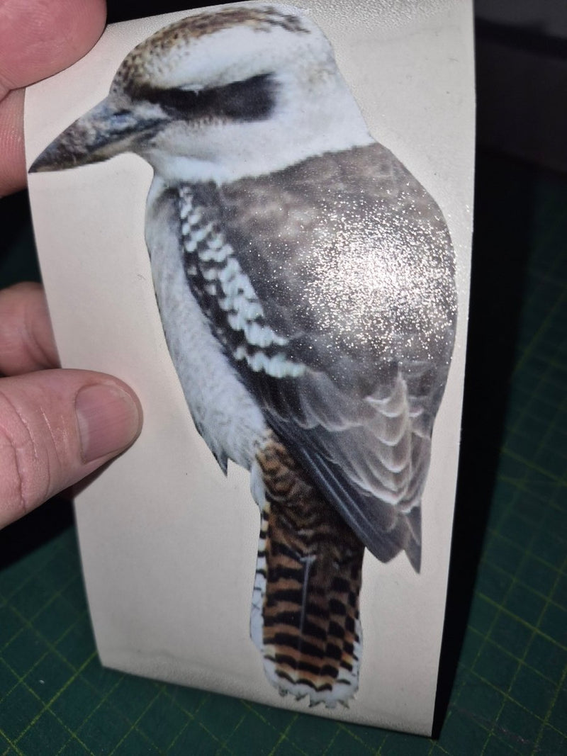 Close-up of a Kookaburra Sticker bird illustration on paper held by a hand with a green cutting mat background.