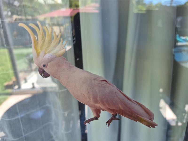 Bird sticker with a yellow crest perched on a window sill