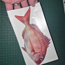 Load image into Gallery viewer, Pink snapper Fish decal held over a cutting mat
