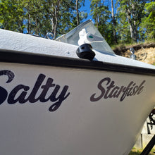 Load image into Gallery viewer, custom named Boat with 'Salty Starfish' written decal on it, surrounded by trees and a clear sky.
