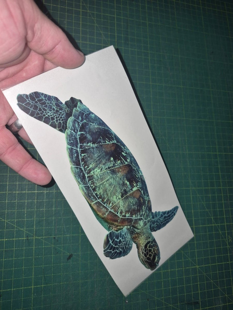 Hand holding a decal of a green sea turtle on a white card with a grid-patterned surface in the background.