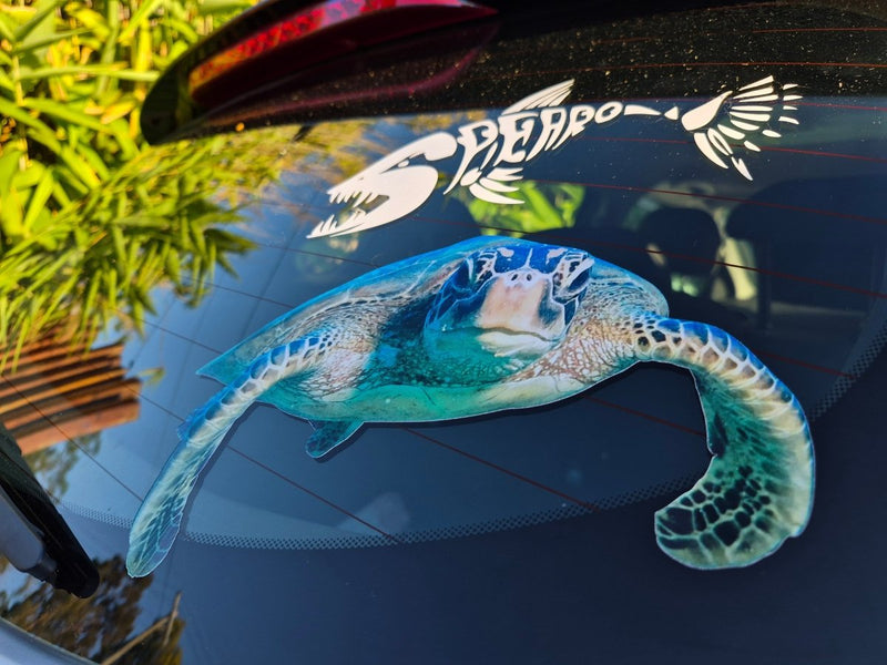 Car decal of a turtle on a car window