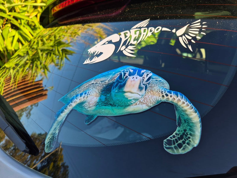 Car window with a turtle decal and  reflective smooth window surface.