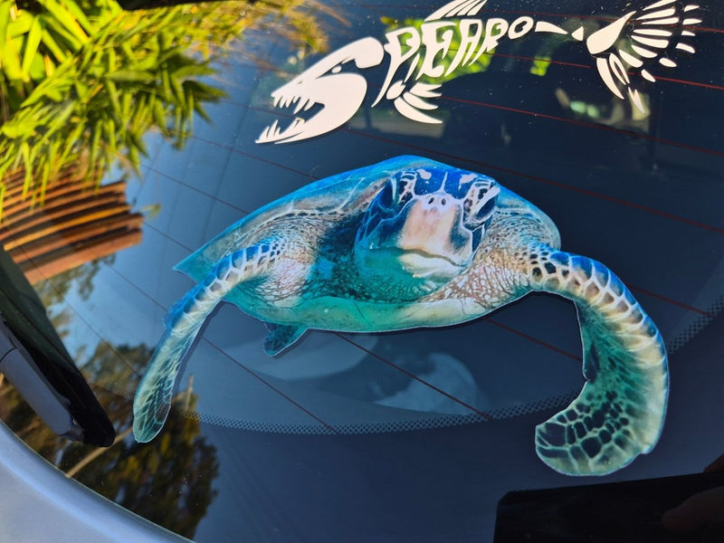 Car decal of a turtle on a car window
