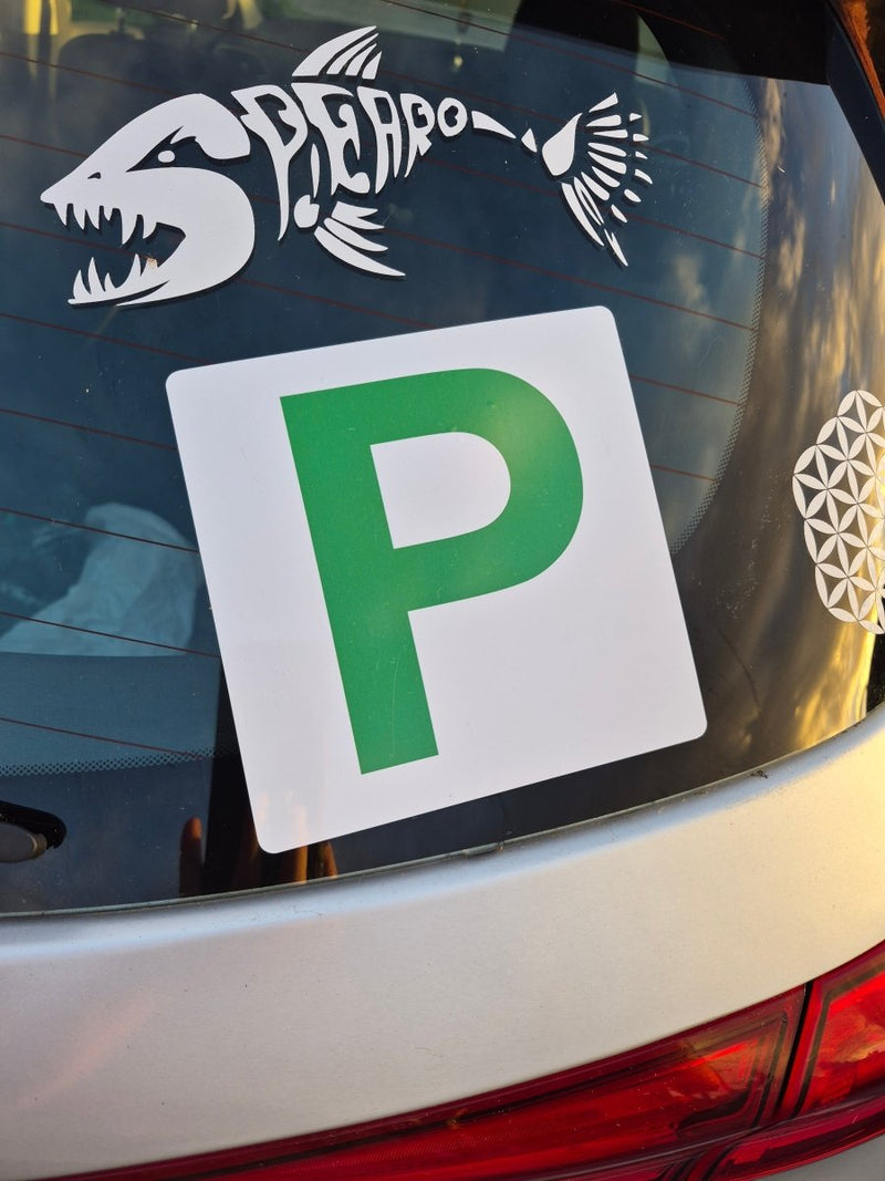Car window with a green 'P' Provisional sticker and white fish skeleton decal.