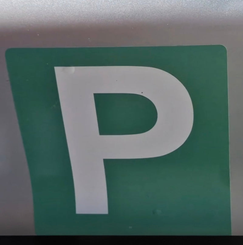 Close-up of a green parking sign with a white 'P'.