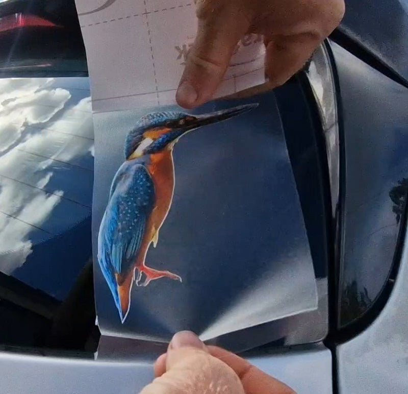 Hand holding a card with a kingfisher Sticker in front of a car window.
