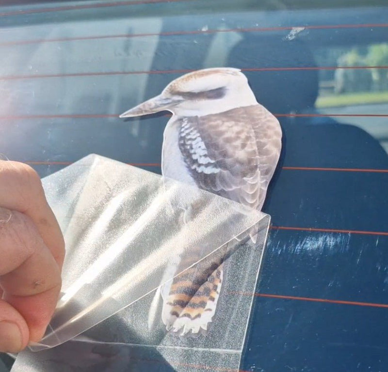 Bird Kookaburra decal on a car window