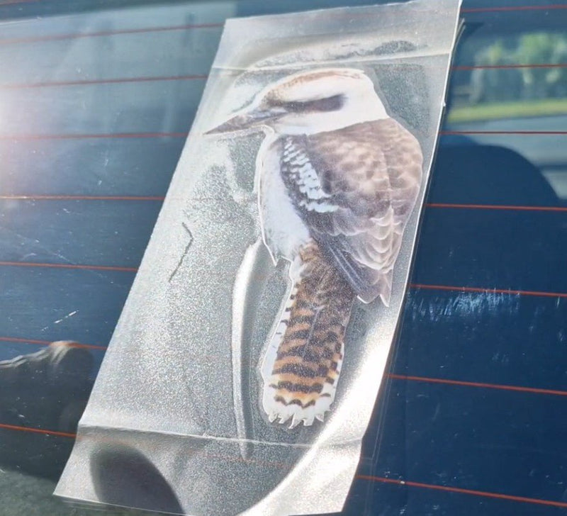 Kookaburra Bird decal on a car window