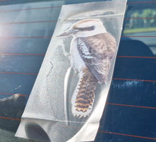 Load image into Gallery viewer, Kookaburra Bird decal on a car window
