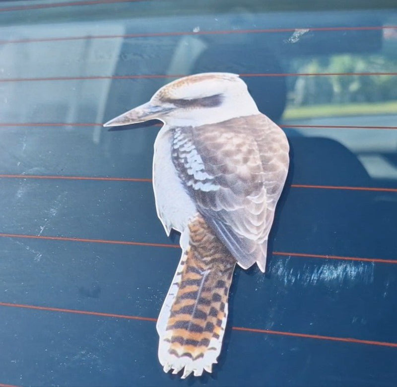 Bird sticker of a kookaburra on a car window