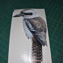 Load image into Gallery viewer, Kookaburra decal Bird feather on a white card with a green cutting mat background
