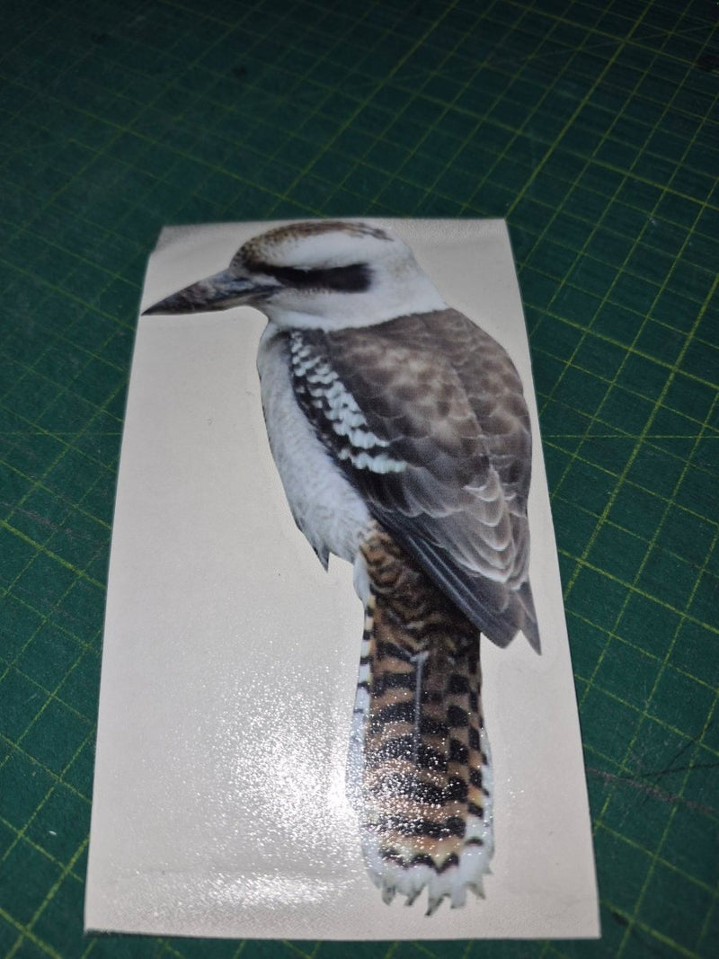 Kookaburra decal Bird feather on a white card with a green cutting mat background