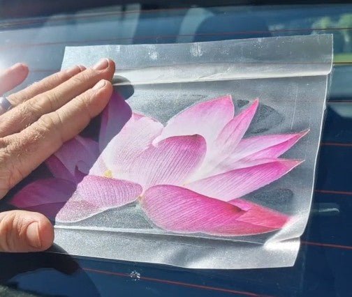 Hand holding a clear plastic sheet with a pink flower design against a blue car surface.
