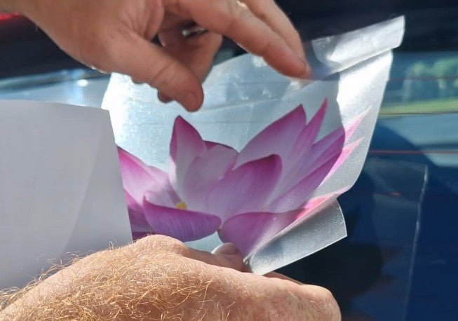 Person peeling back a car window film with a pink flower design.
