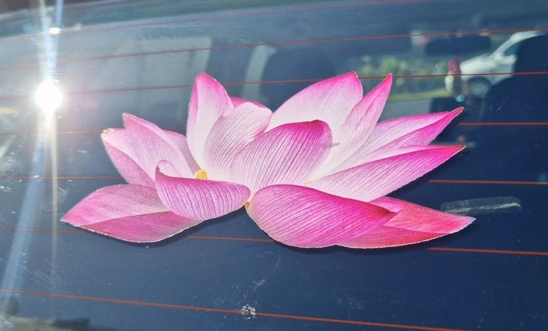 Pink artificial lotus flower on a car window