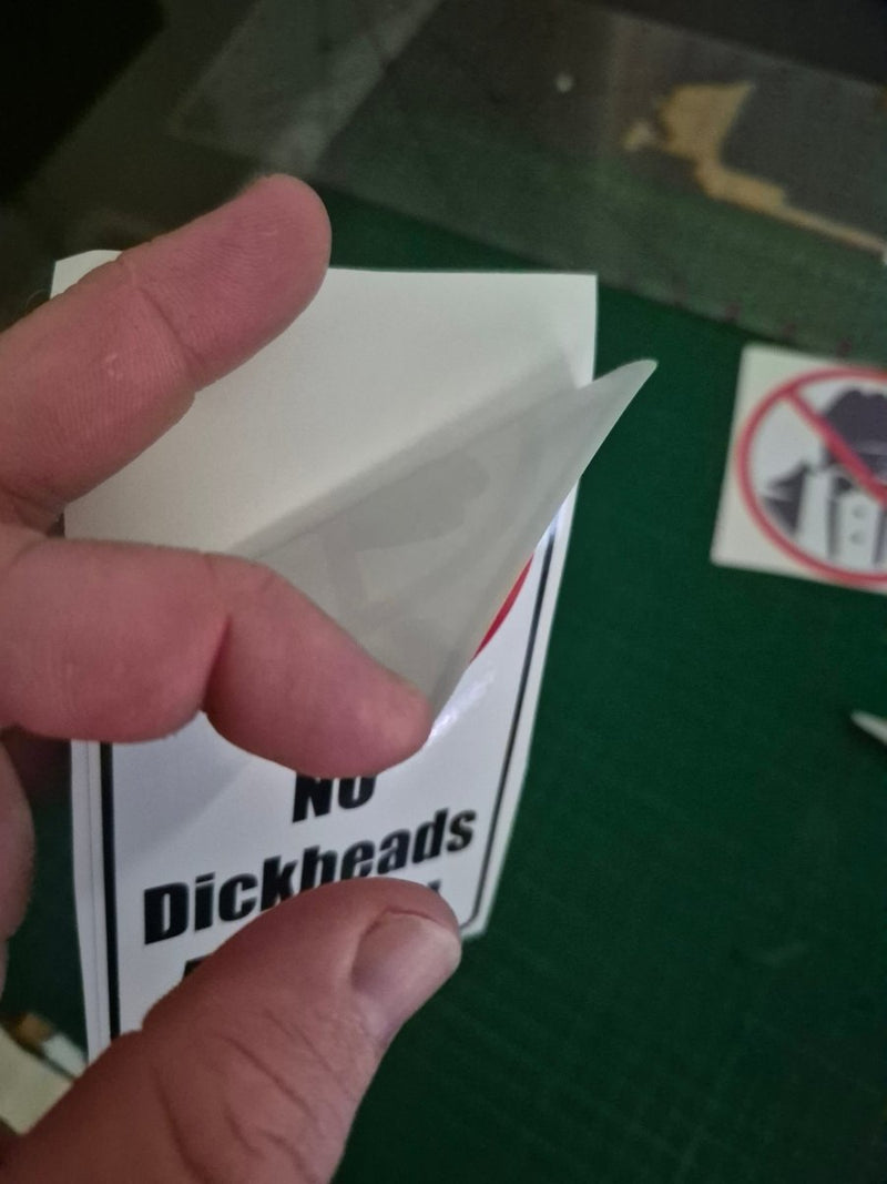 Hand holding a small white object over a 'No Dickheads' Sticker on a green surface.