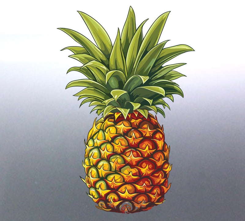 Pineapple decal on a door