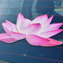 Load image into Gallery viewer, Pink artificial lotus decal flowers on a car window
