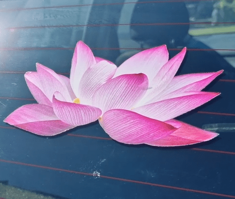Pink artificial lotus decal flowers on a car window