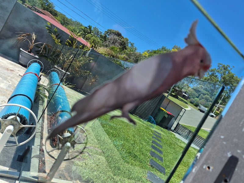 Bird perched on a metal structure with a garden and house in the background