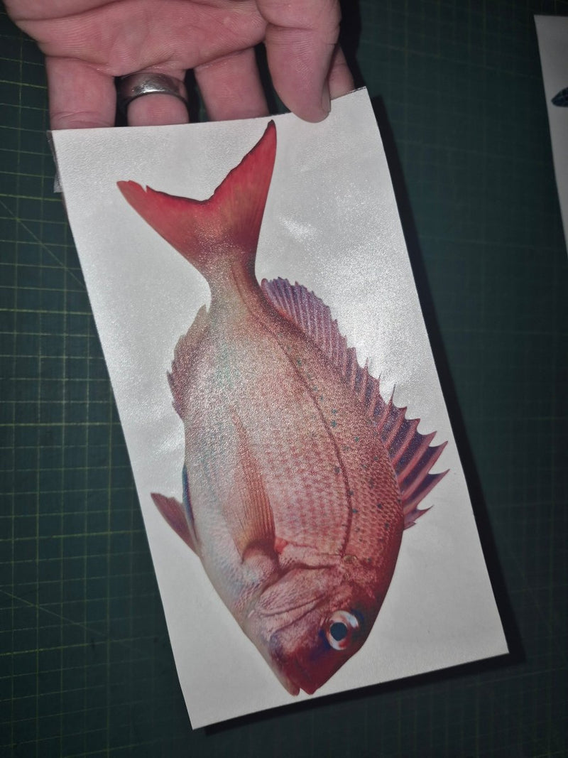 Fish decal held by a hand on a cutting mat Pink snapper